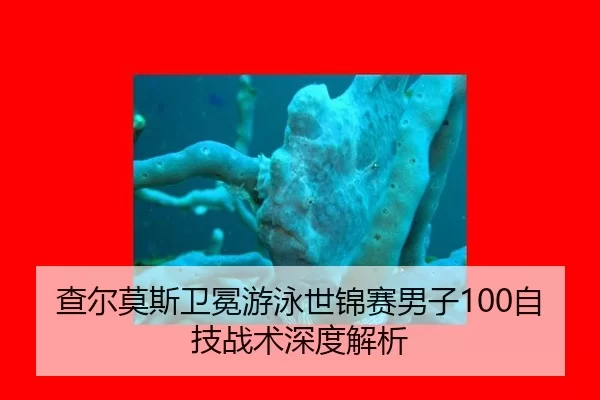 查尔莫斯卫冕游泳世锦赛男子100自技战术深度解析
