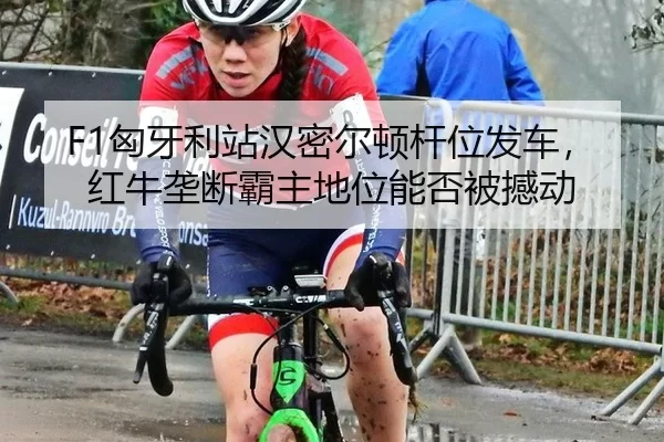 F1匈牙利站汉密尔顿杆位发车，红牛垄断霸主地位能否被撼动