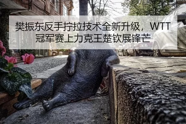 fan-zhen-dong-fan-shou-ning-la-ji-shu-quan-xin-sheng-ji-guan-jun-sai-shang-li-ke-wang-chu-qin-zhan-feng-mang-3-780.jpg
