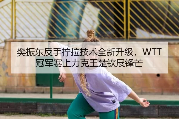 樊振东反手拧拉技术全新升级，WTT冠军赛上力克王楚钦展锋芒